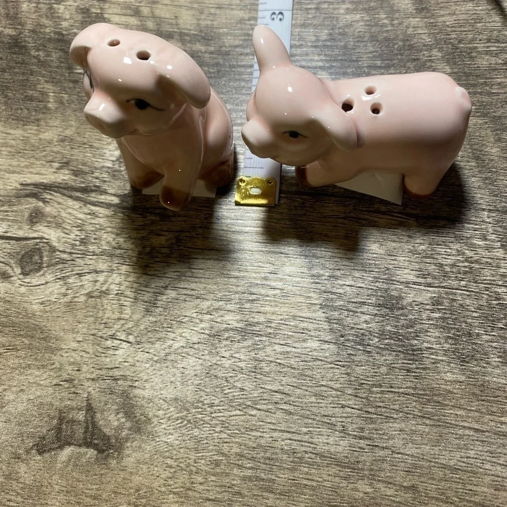 Salt & Pepper mini ceramic shakers 🐖 🐷